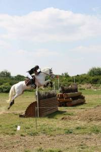 &Eacute;talon pie palomino DW5