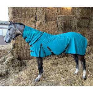 Chemise polaire sèchante avec encolure JMRPRO