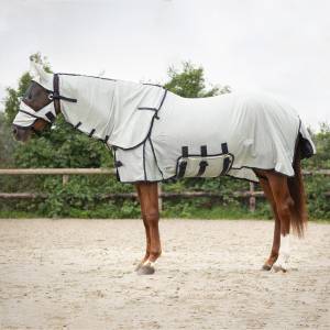 Chemise anti-mouches avec couvre-cou + Bonnet QHP