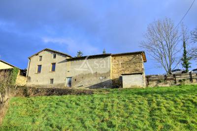 FERME TRADITIONELLE - THURINS