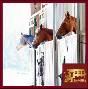 Centre équestre en activité CHOLET