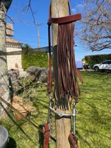BRIDES VAQUERAS ESPAGNOLES EN CUIR FAITE A LA MAIN