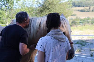 Formation Equithérapeute (31j sur un an)
