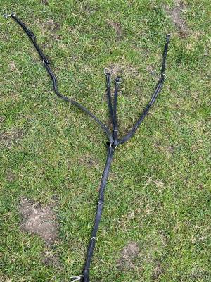 Collier de chasse + martingale 