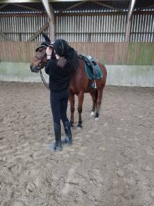 Tapis Kentucky  vert sapin parfait état taille cheval