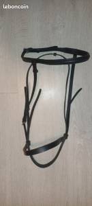 Bridon cheval