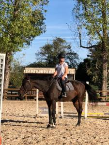 Tapis et bonnet back on track haze gris taille cheval 