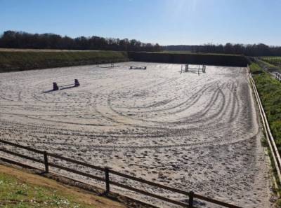 Propose pension pr&eacute;/box dans le 77 