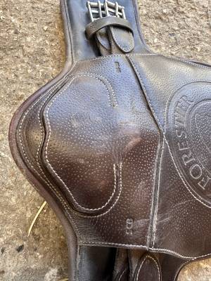 Bavette courte Forestier