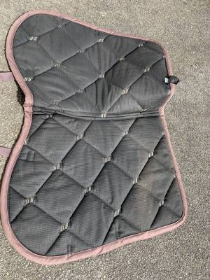 Tapis back on track 