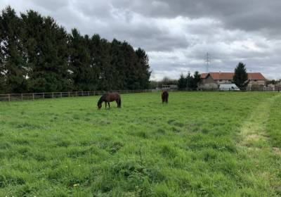 Pension 100% pré isneauville