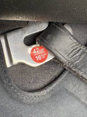 Selle dressage wintec