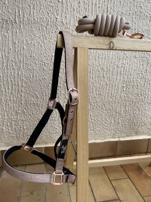 Licol CDG Horse equipment