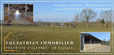 Structure d'élevage chevaux & Propriété agricole - 29 ha