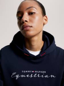 Sweat à capuche Logo Graphique Metallic - Tommy Hilfiger