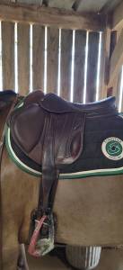 Selle forestier boeckelo