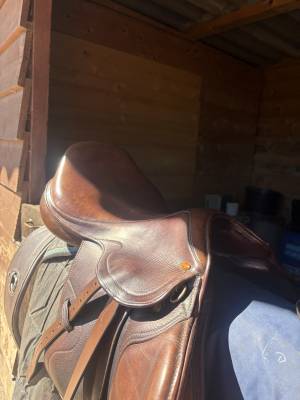 Selle Éric Thomas Lugano 17,5“