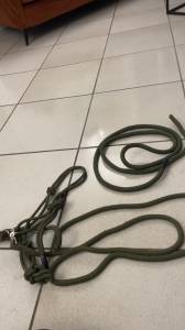 Licol éthologique pour monter + longe 
