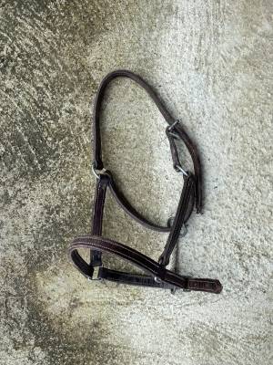 Licol en cuir 
