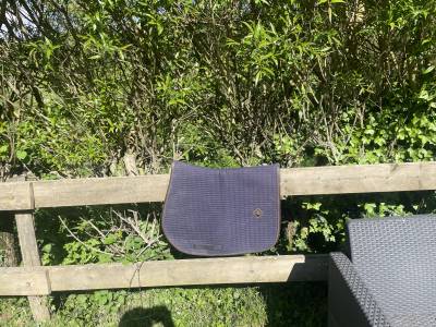 Tapis kentucky 