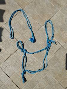Ensemble cordelette et licol