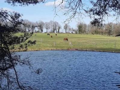 Pensions chevaux - Ecurie Les 3 Saints 19210 
