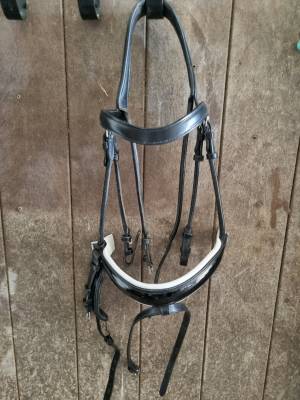 Bridon Dyon dressage vernis et blanc taille cob