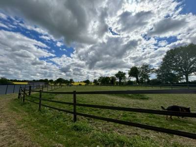 &Eacute;curie de course sur 15 ha