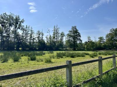 Domaine avec gites sur 3ha