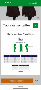 Chaps marron taille L Harry’s Horse neuves 