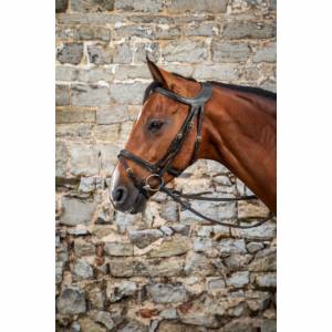 FILET DYON NOIR CHEVAL 