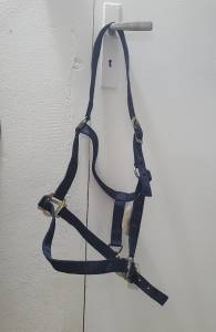 Licol Cheval Marine