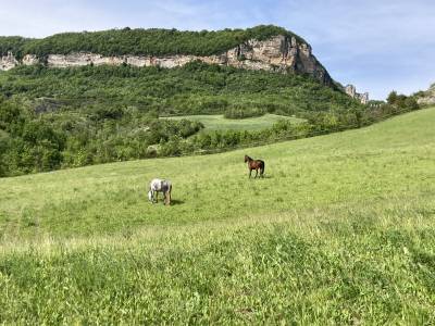 Pension paddock et pr&eacute;
