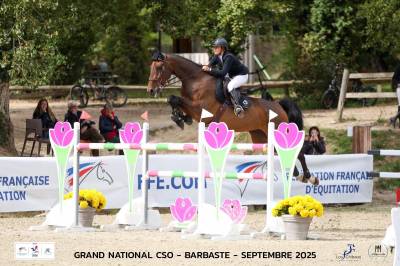 URGENT Jument oldenburg 8 ans, 174 ,class&eacute;e 140