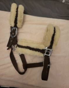 Licol mouton 