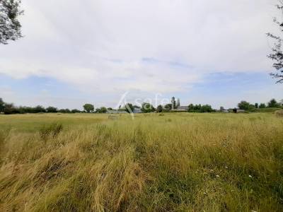 Propri&eacute;t&eacute; rurale sur 2 ha