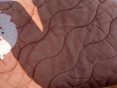 Tapis dressage scapa sport 