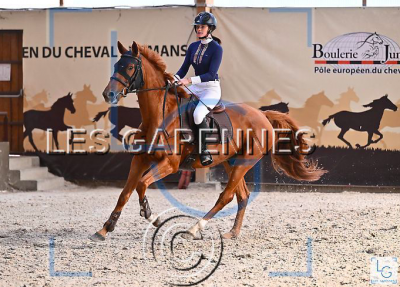 Polo de concours Animo