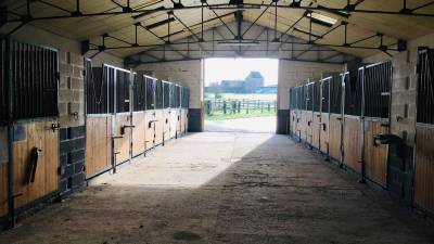 &Eacute;curie Picardie - PAWELEC STABLES