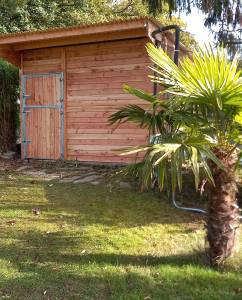 Box Club en bois Douglas