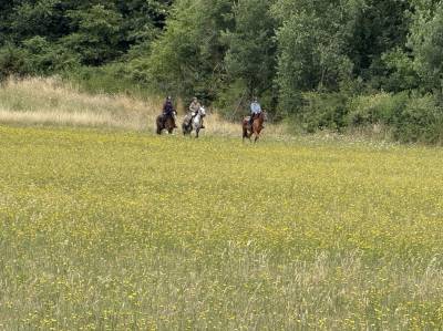 Balades et randonn&eacute;es &agrave; cheval 