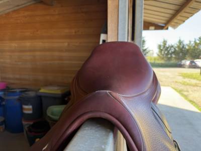 CWD Selle Optim close contact 17,5"