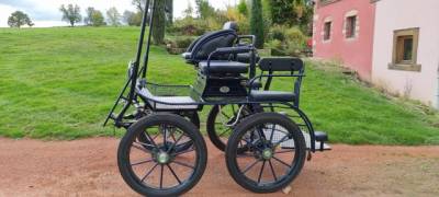 voiture d'attelage  GLINKOWSKI modèle NS 22295 1 cheval