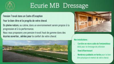 Pension travail dans &eacute;curie de dressage
