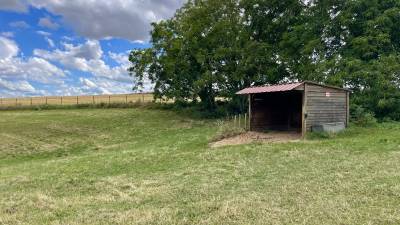 Pension au pr&eacute; &agrave; Maule 78580