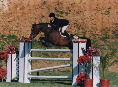 Saillie CAP DE B'NEVILLE étalon SF originel