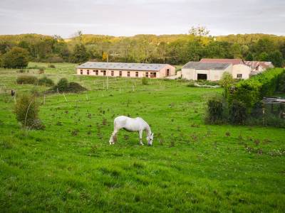 Haras d'&Eacute;levage de Chevaux, 26ha.