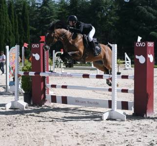 Poney D &eacute;talon &agrave; louer 