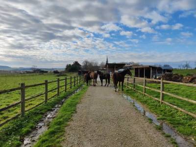 Conception Propriété équestre - Achat ou coopération  