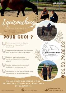 Equicoaching cavalier